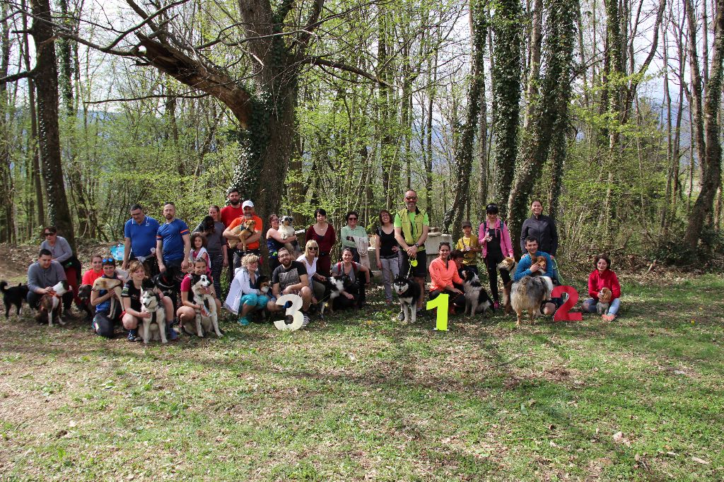 Des Prouesses d'Hermes - Cani marche / Cani cross / Cani VTT